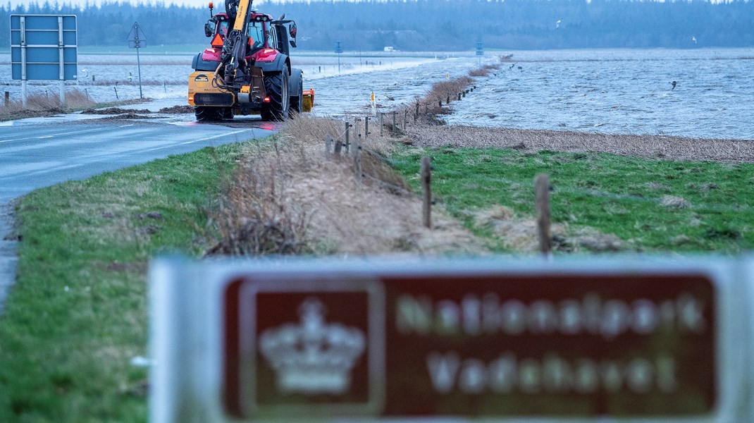 Historisk naturprojekt ved Kongeåen bliver en realitet 