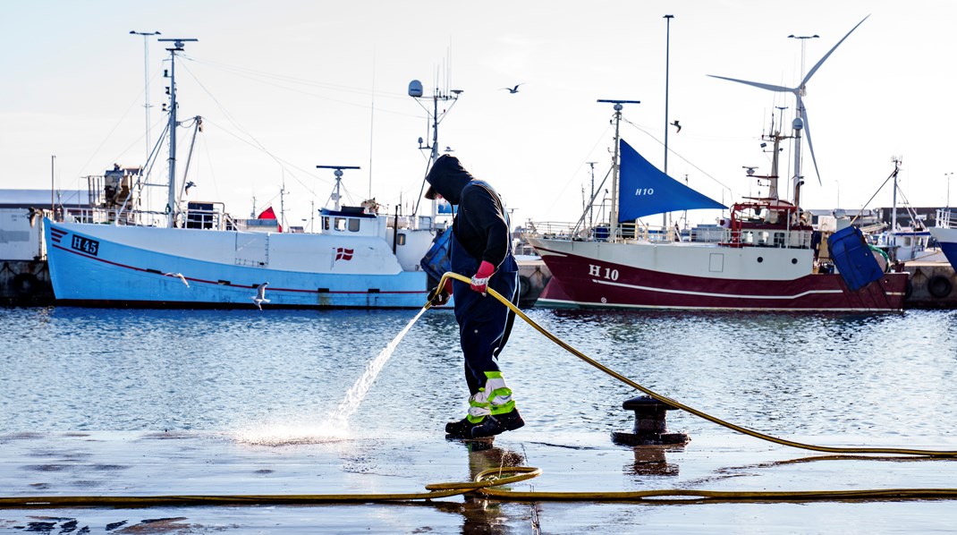 Fiskeri-rådgiver: Kameradokumentation kan fjerne den politiske spændetrøje for fiskeriet