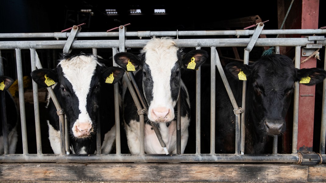 Landbrugets CO2-udledning er på programmet i denne uge.