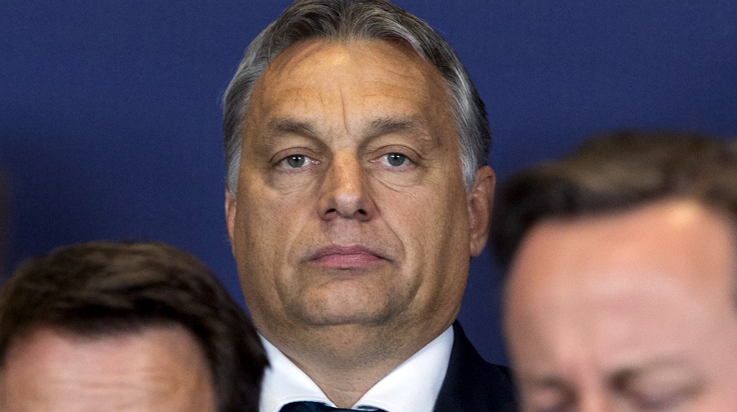 Victor Orban viser endnu en gang, at han er den løse kanon i EU og Nato ved at holde Sverige ude af Nato, skriver Vibe Termansen. 