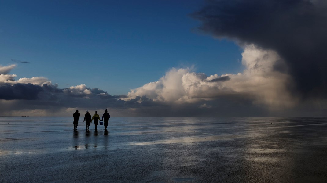 Nationalpark Vadehavet er Danmarks største nationalpark. I 2014 besluttede UNESCO's verdensarv komité at udpege den danske del af Vadehavet som verdensarv.