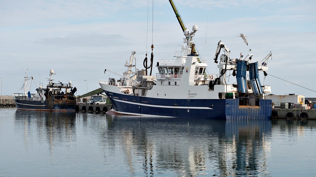 Naturformidler fra Den Dyriske Time: Økosystemerne i havet går i stykker, hvis vi fortsat fisker uden omtanke