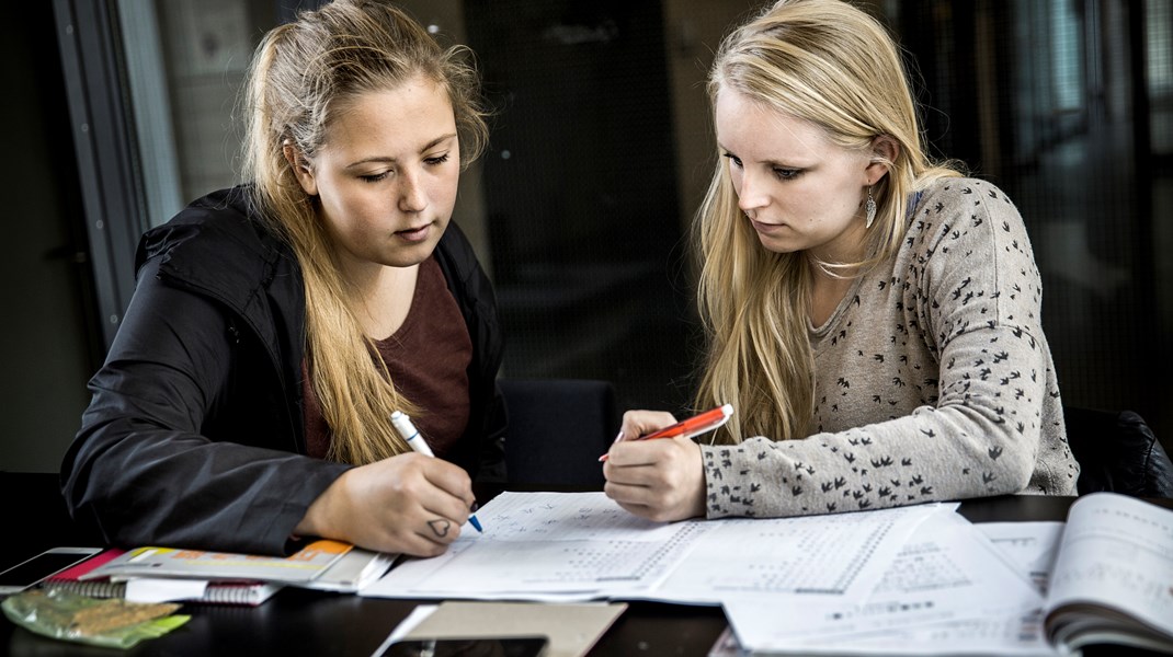 En kombination af mindre søgning og dimensionering har ført til, at optaget på humaniora er nærmest halveret siden 2013. Det udfordrer forskningsmiljøerne og sprogkompetencerne, skriver Mikkel Haarder og Jens Ringsmose.