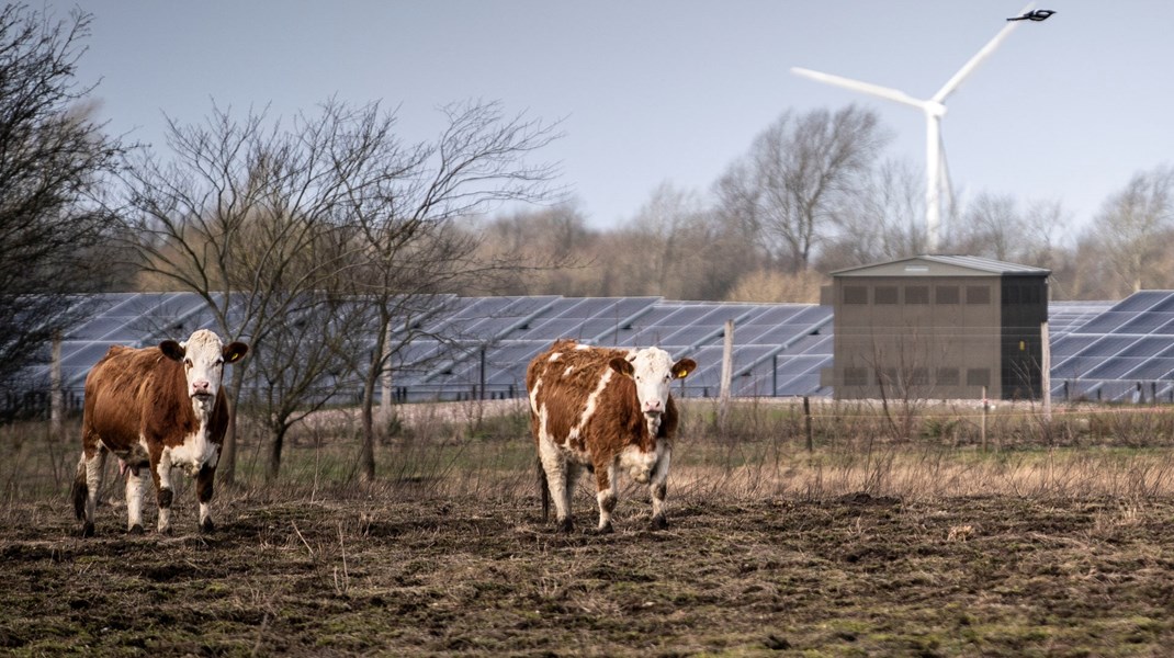 EU-krav kan ende med at skubbe på en dansk CO2-afgift på landbruget. 