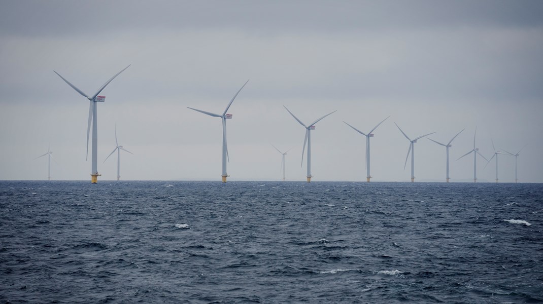 Aftale om havvind sikrer en halv milliard til havnaturen.