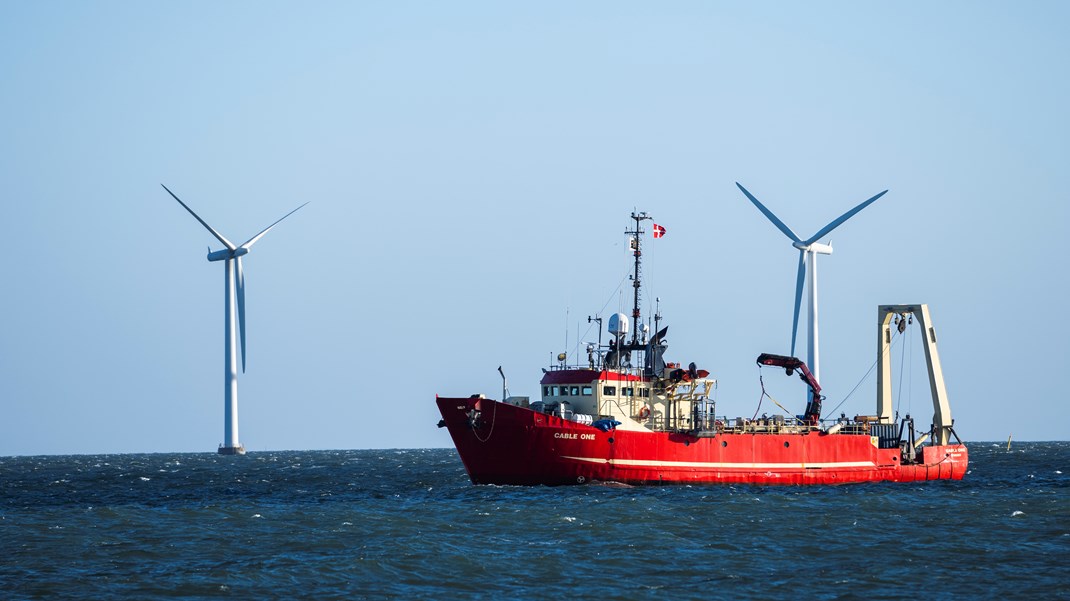 Klima og biodiversitet er højt prioriteret i den nye havplan. Dog skal fiskeriet kompenseres, hvis erhvervet bliver ramt økonomisk af den nye plan.