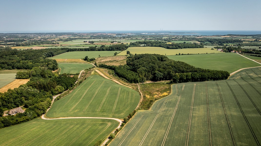 Det er ikke kun biodiversiteten, der får det bedre, hvis vi giver mere plads til naturen. En tur i skoven eller ud over engen kan modvirke stress og depression og gøre os mere kreative, skriver Amanda Fehler Vallgårda.