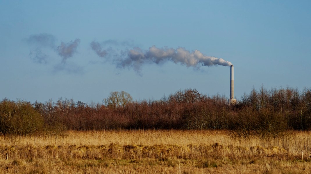 Dansk Erhvervs forslag vil betyde, at vi bevæger os et skridt længere væk fra Danmarks 2030-målsætning og grøn omstilling, da en del af det nuværende biomasseforbrug vil overgå til kul eller naturgas, skriver Martin Dam Wied & Rune Moesgaard.