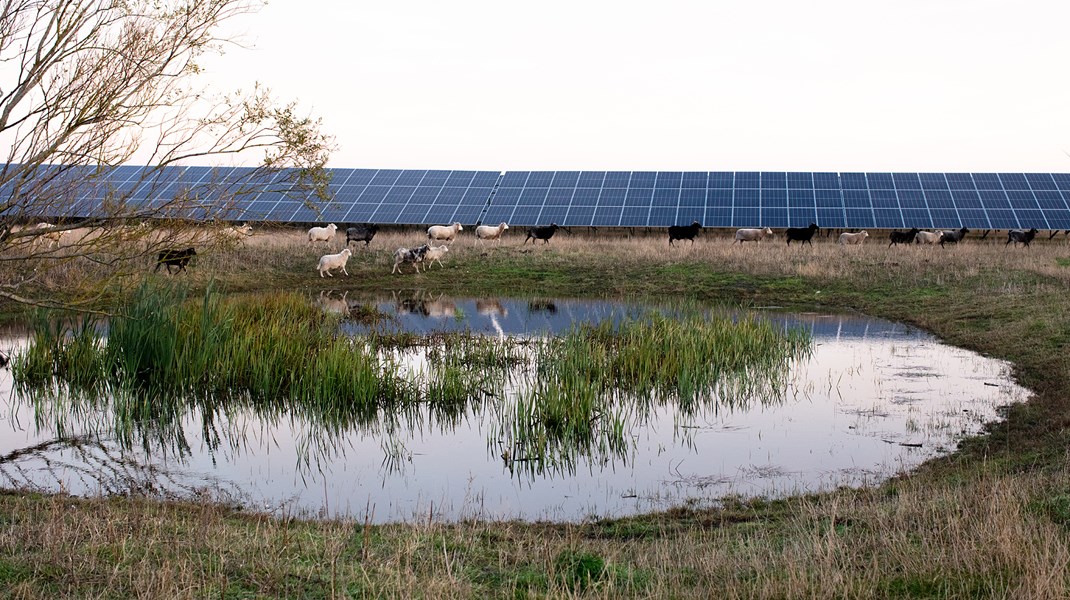 Better Energy og DN: Vis den nødvendige handling og stem ja til naturgenopretningspakken