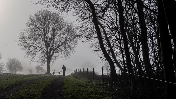 Vi befinder os geografisk set nærmest midt i Solrød Kommune. Det er svært at forestille sig på en råkold januardag, men om få år kan landskabet her være forvandlet til solceller.