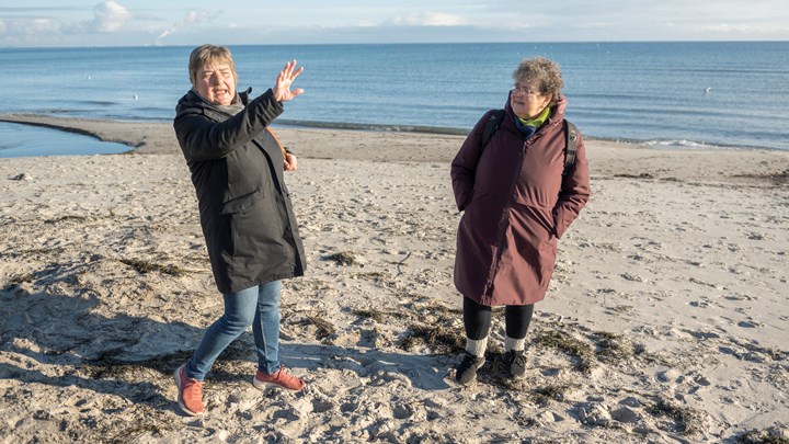 De
lokale kræfter i Foreningen Bevar Naturen vil lave masser af støj for at blokere
for solcelleanlægget, fortæller Birgit Gedionsen, formand i foreningen, da Altinget går tur med hende og Else Elisabeth Larsen fra foreningen ved stranden i Solrød. 