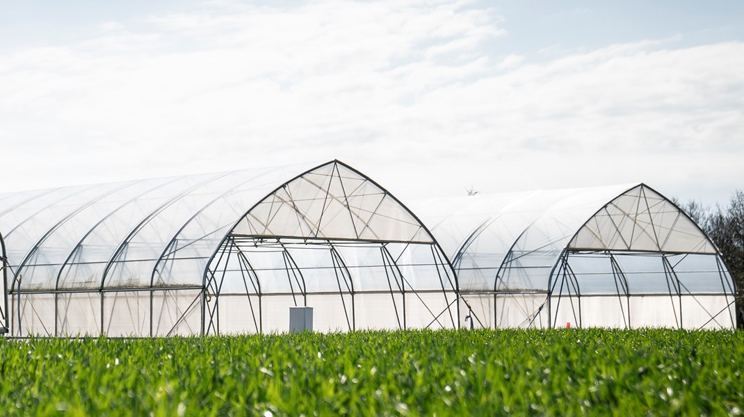 Mange af de biologiske produkter på markedet i dag er udviklet til væksthuse og kræver derfor forholdsvis høje temperaturer. Det gør deres anvendelse i Danmark snæver, skriver Tanja Andersen.