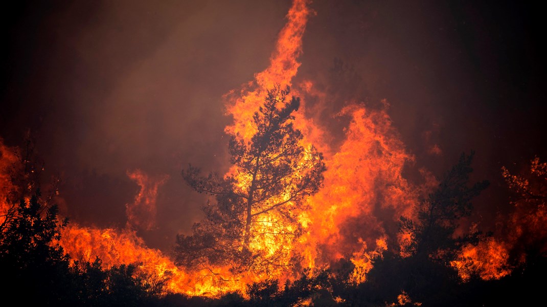 Juli måned har ifølge en lang række rapporter været den varmeste målt nogensinde. De hede temperaturer har haft store konsekvenser, eksempelvis i Grækenland, der har været hærget af voldsomme skovbrande. 