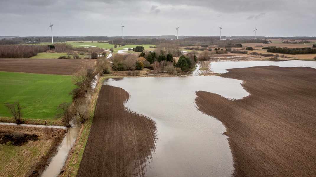 Landbrug og Fødevarer finder leder for vand- og naturafdeling hos Miljøministeriet