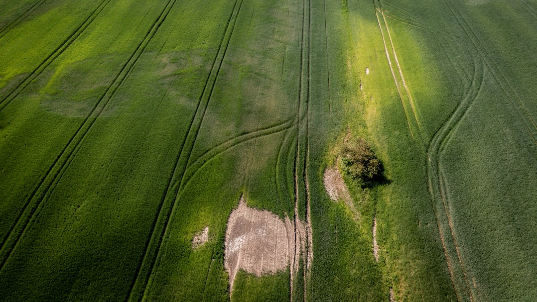 Concito: EU-forpligtelser skal tænkes ind i nationale klimabeslutninger