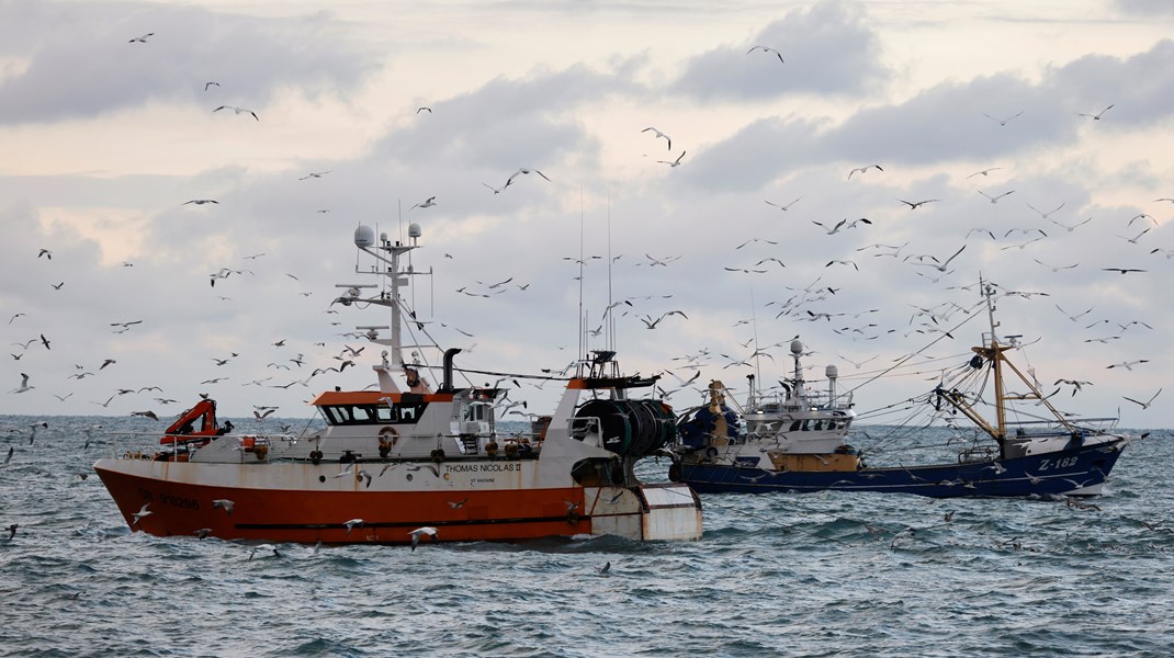 Danmarks
Naturfredningsforenings kampagne er fyldt af postulater om bundtrawlings skade på havmiljøet, skriver Kristian
Bøgsted (DD).