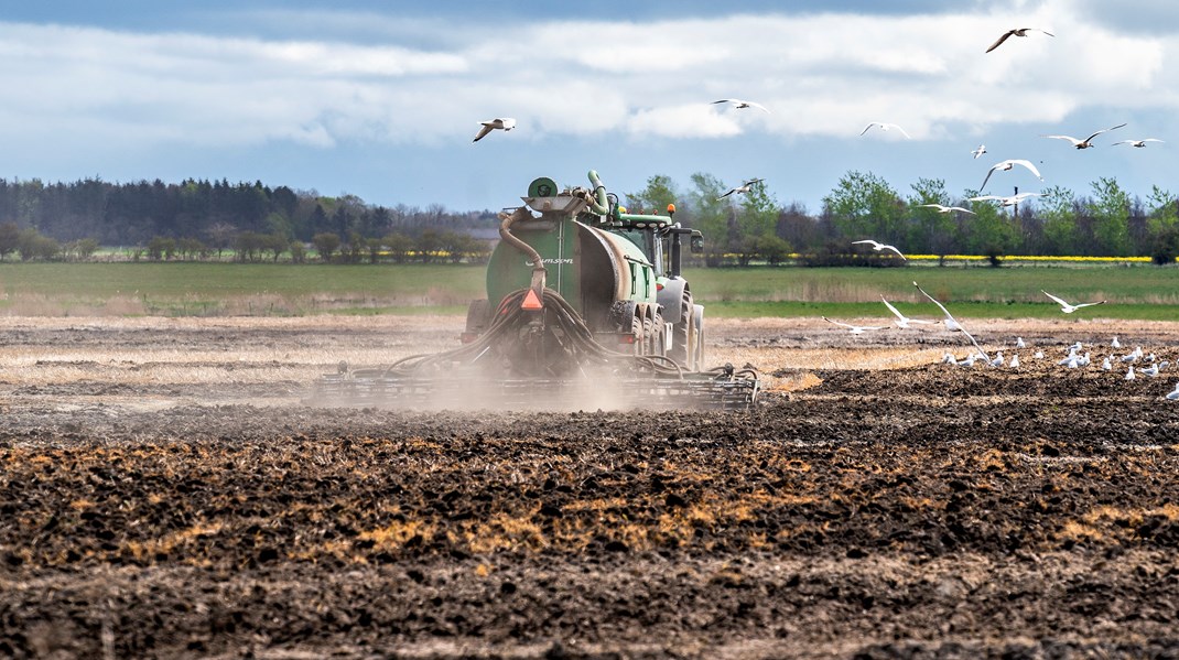 Landbrugets udbringning af gylle på marken, fører til udledning af kvælstof til vandmiljøet.