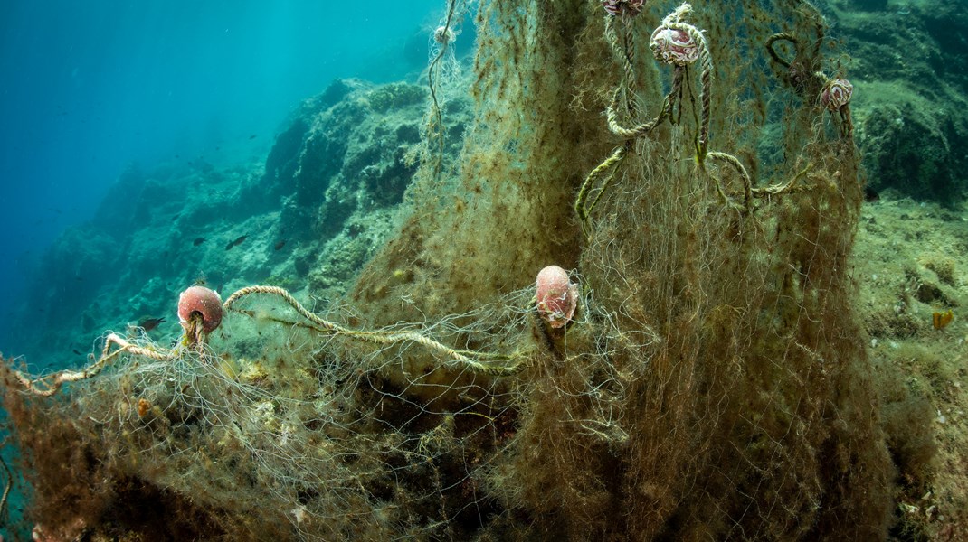 Grøn aktivist: Vores naturbeskyttelse skraber bunden – stop bundtrawl i beskyttede havområder