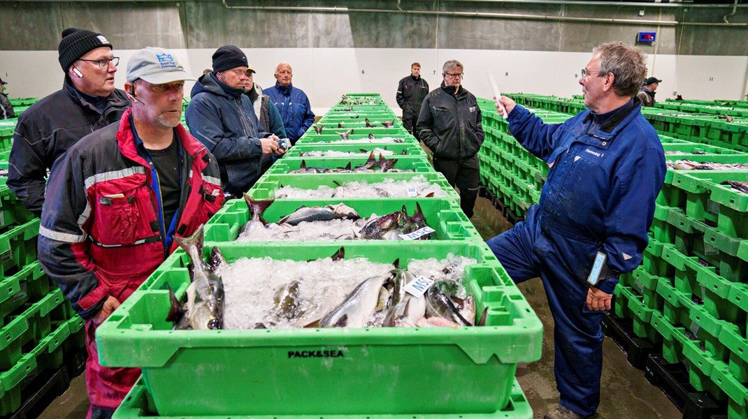 De danske fiskere blev hårdt ramt af Brexit. Nu må de vente lidt endnu på politikernes plan for erhvervets fremtid. 