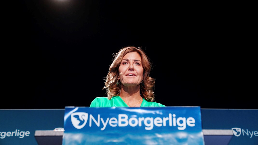 Ifølge Henriette Ergemann vil partiet lægge op ad Nye Borgerlige og Dansk Folkeparti, men hun mener samtidig, at der er plads til endnu et parti på højrefløjen.