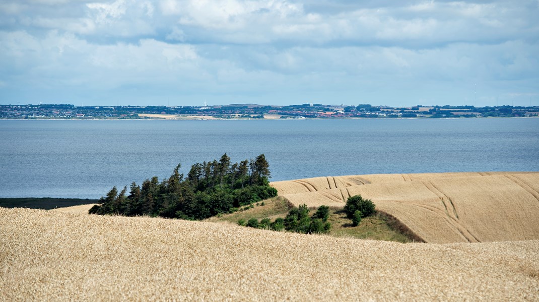 Egander Skov: Sprudlende bog beskriver, hvordan provinsen blev til udkant