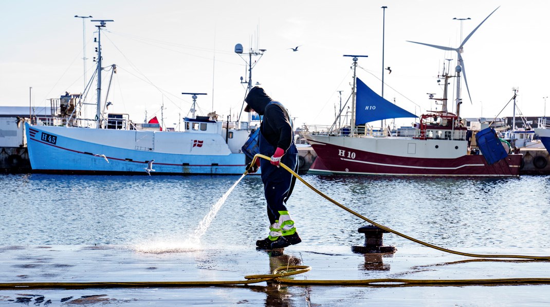 Er man ledig med erfaring fra den maritime sektor som eksempelvis fisker, chauffør eller mekaniker, skal det være nemmere at tage en uddannelse som skibsassistent, mener Danske Rederier og Dansk Metal.