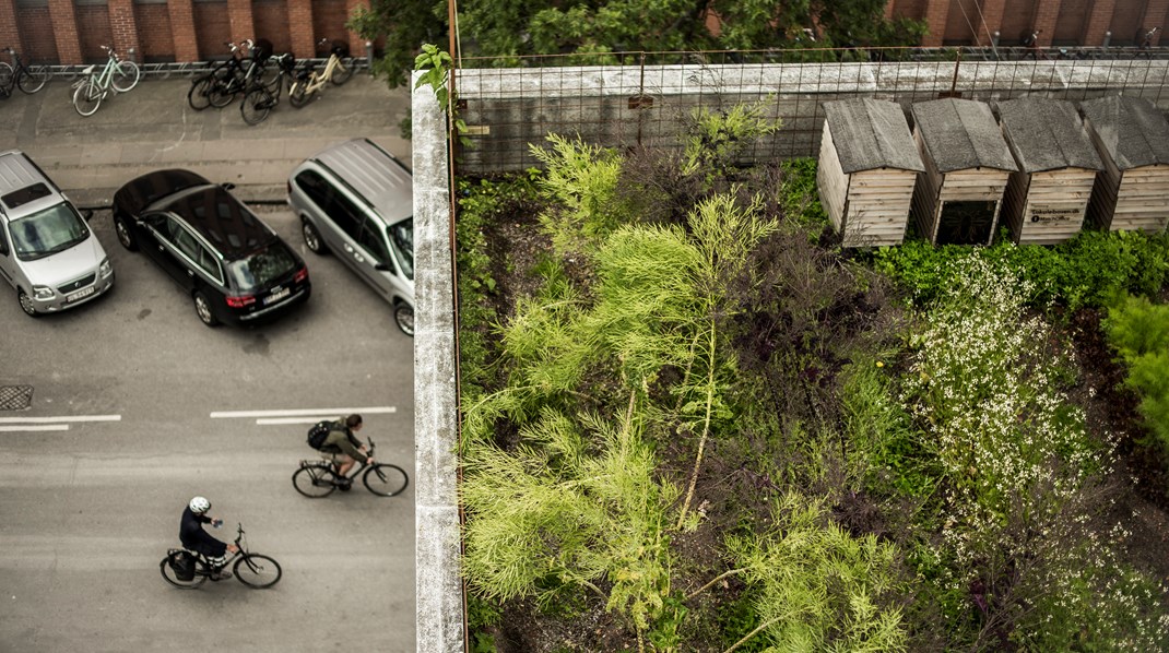 Cowi og Arkitema: Bring naturen ind i byen, for byens skyld 