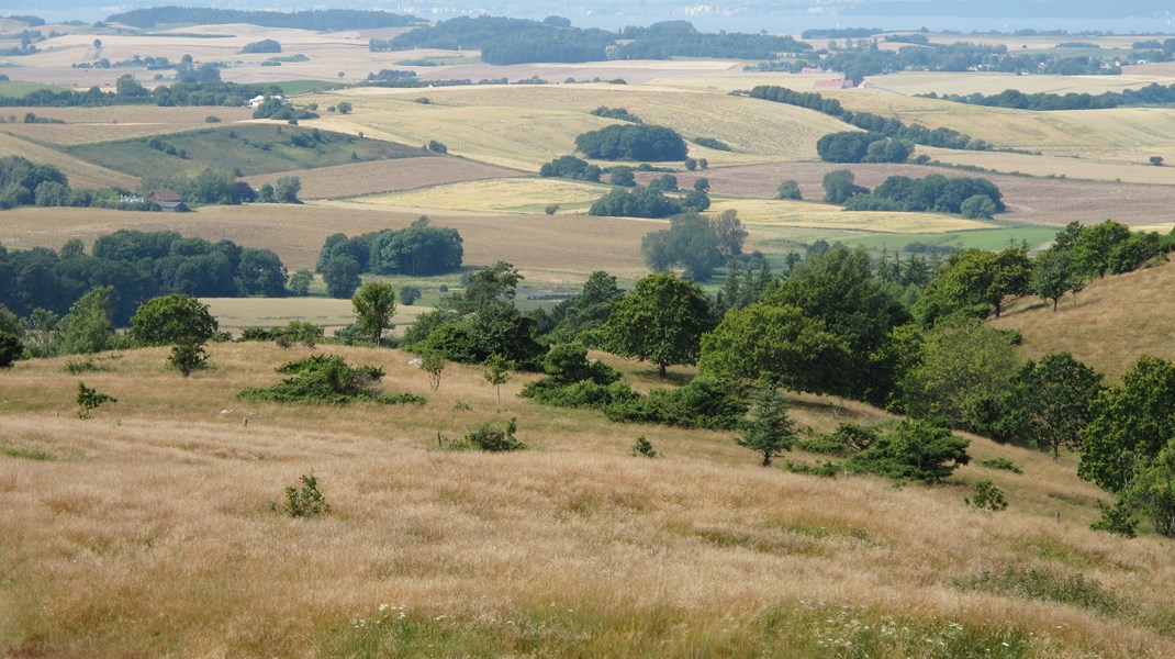 EU's nye naturlov opstiller bindende mål for genopretning af naturen og skal bidrage til, at EU når sit mål om 30 procent beskyttet natur.