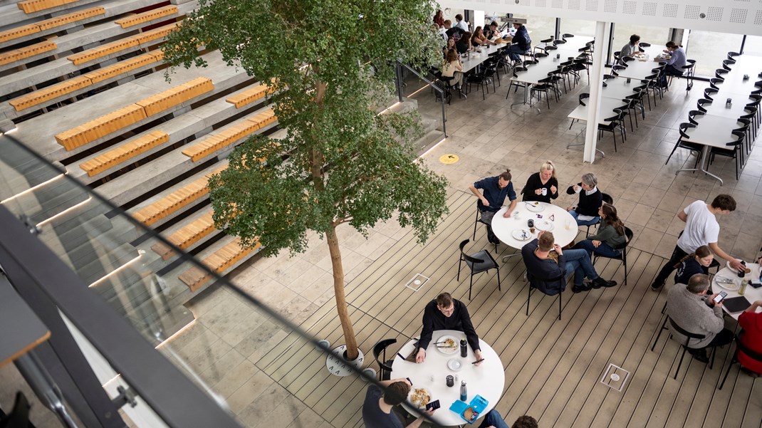 Under hver tredje leder er kvinde på størstedelen af de danske universiteter