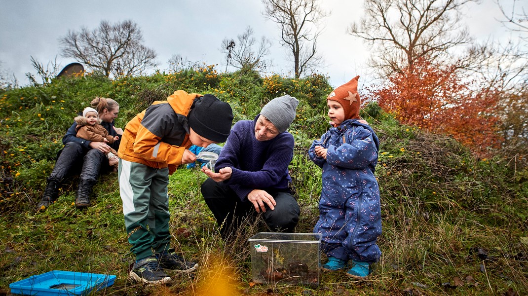 Fondsmidler til natur og biodiversitet støtter borgernes egne projekter 