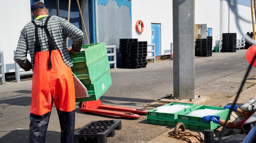 Udlændingene er især beskæftiget indenfor de faglærte områder som landbruget, fødevareindustrien og servicebranchen.