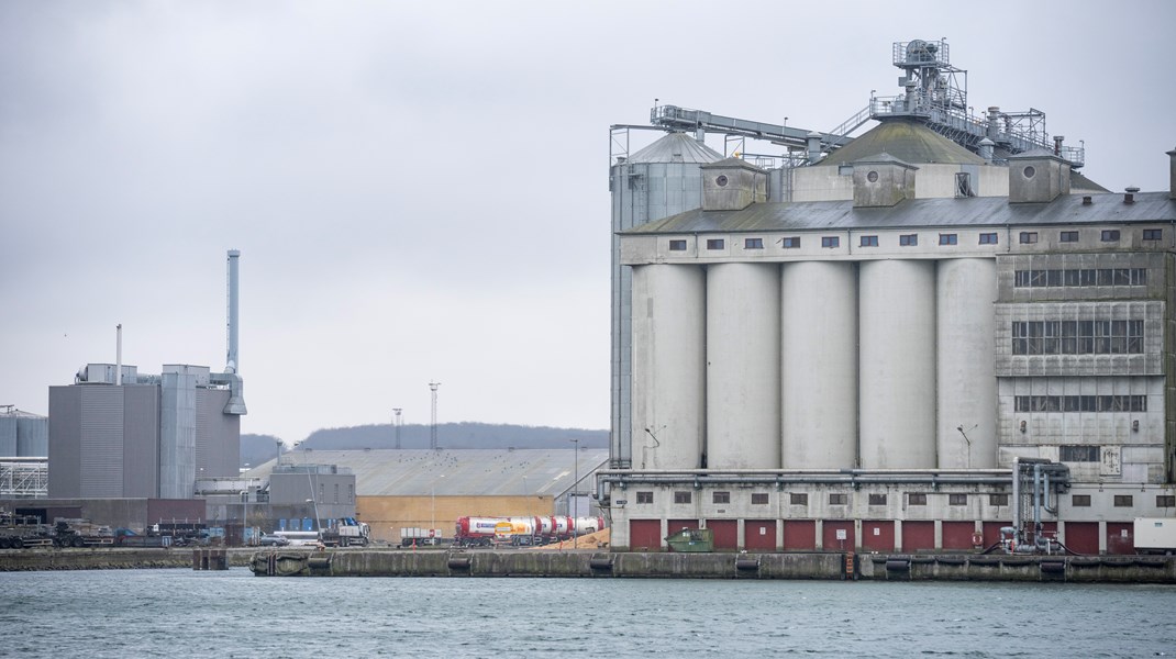 Naturfredningsforening: Falsk konflikt mellem grøn omstilling og naturhensyn ved udvidelse af havne