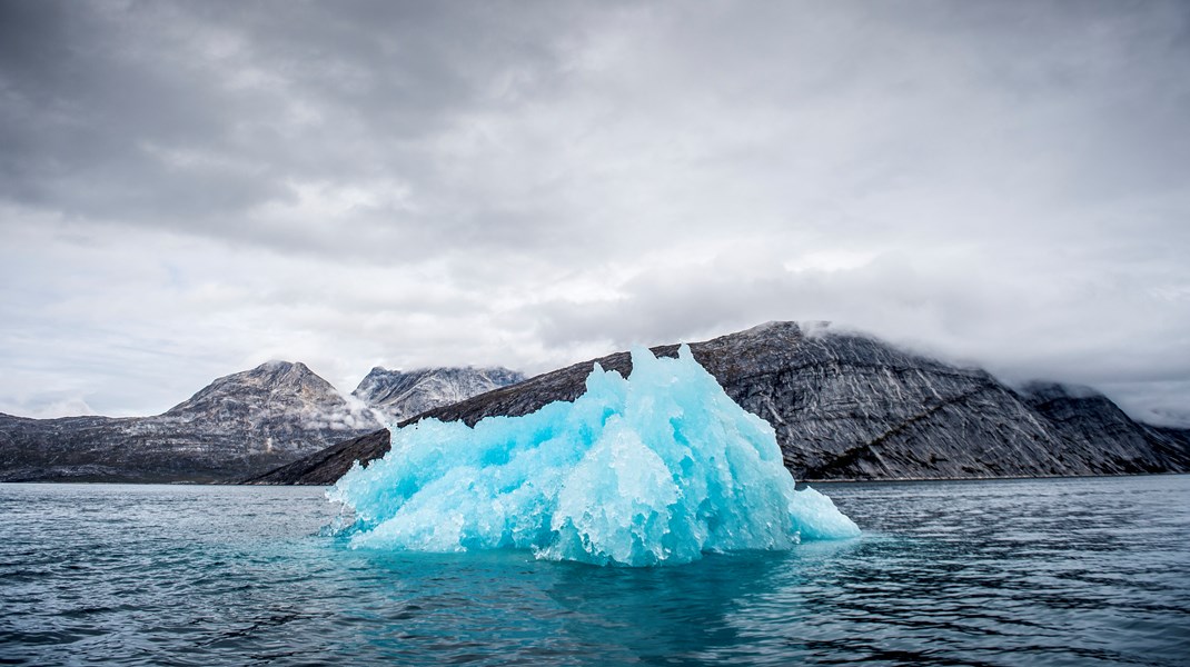 Den højere vandstand er et alvorligt problem, ikke mindst i forbindelse med et mere ekstremt vejr fremover, hvor risiko for stormfloder øges, skriver Marit-Solveig Seidenkrantz.