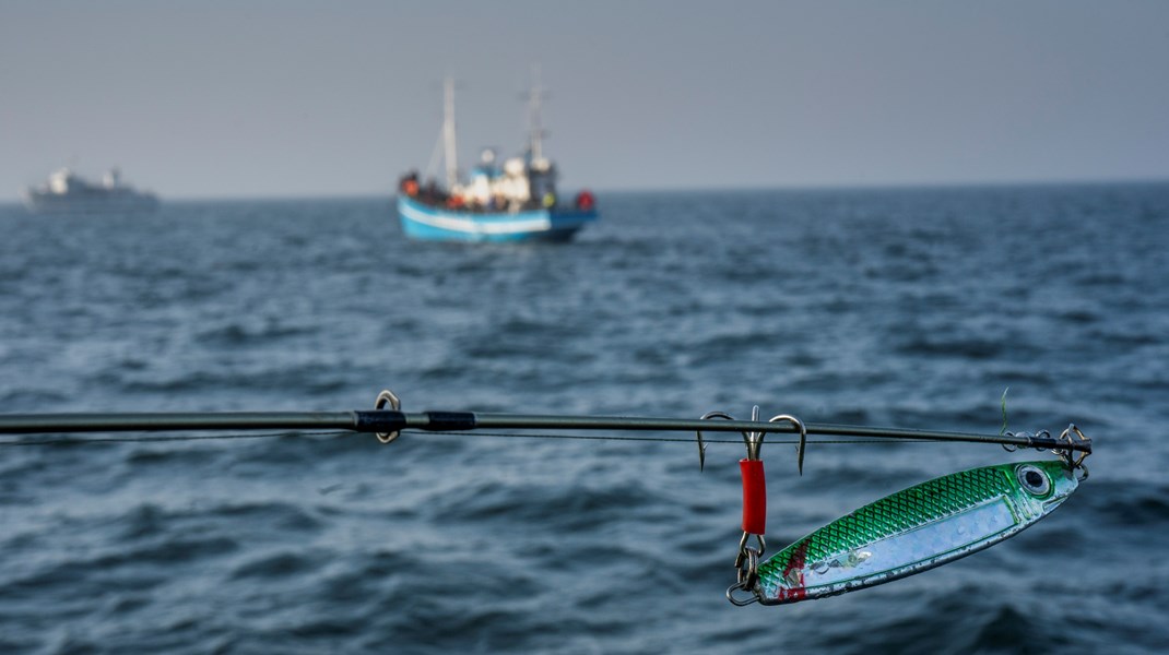 Biolog: Havet er ikke en losseplads. Så hvorfor er det stadig gratis at smide affald i vandet ved klapning?