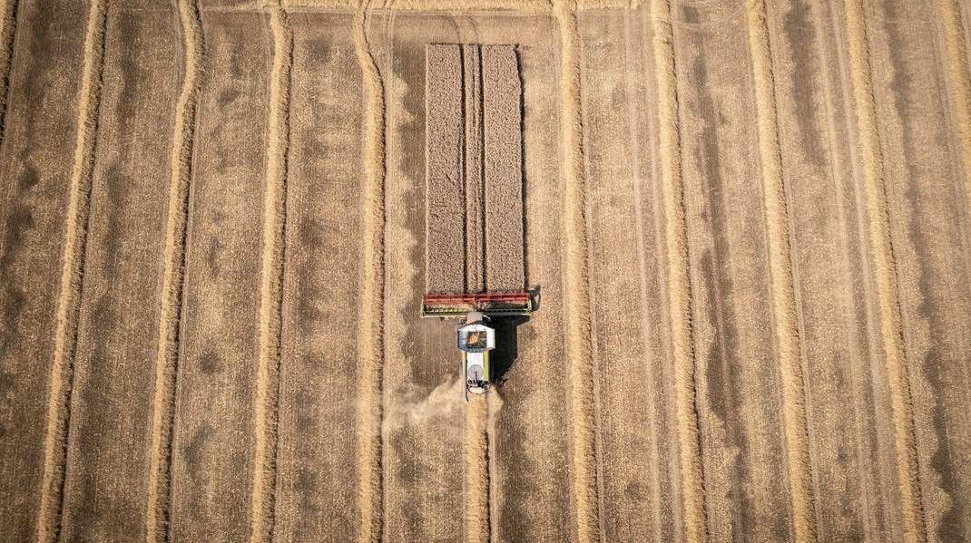 En politisk vision for landbruget, der hviler på en langsigtet arealstrategi, som afvejer samfundsmål og bruger arealer ansvarligt, vil være vejen til at skabe attraktive landskaber og lokalsamfund, skriver Helga Grønnegaard.