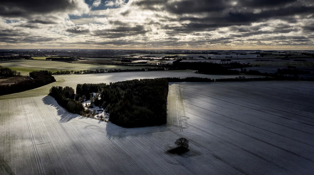 #dkpol: Hvor dårligt går det lige for dansk landbrug, når man er skurken i julekalenderen?