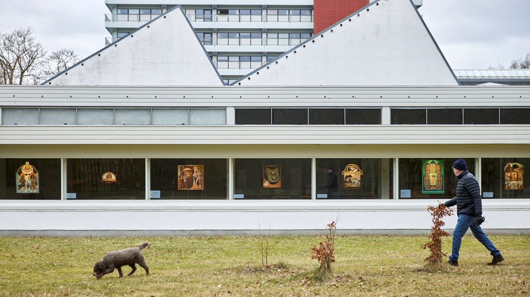 Museum Jorn får ny direktør