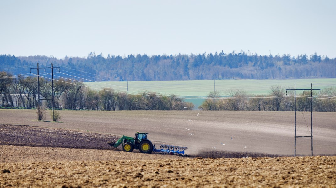 Landbrugets mest populære PFAS-pesticid er ukrudtsmidlet diflufenican. Det er så populært, at de årlige indkøb af midlet blev øget væsentlig i 2020 og 2021, skriver Søren Wium-Andersen.