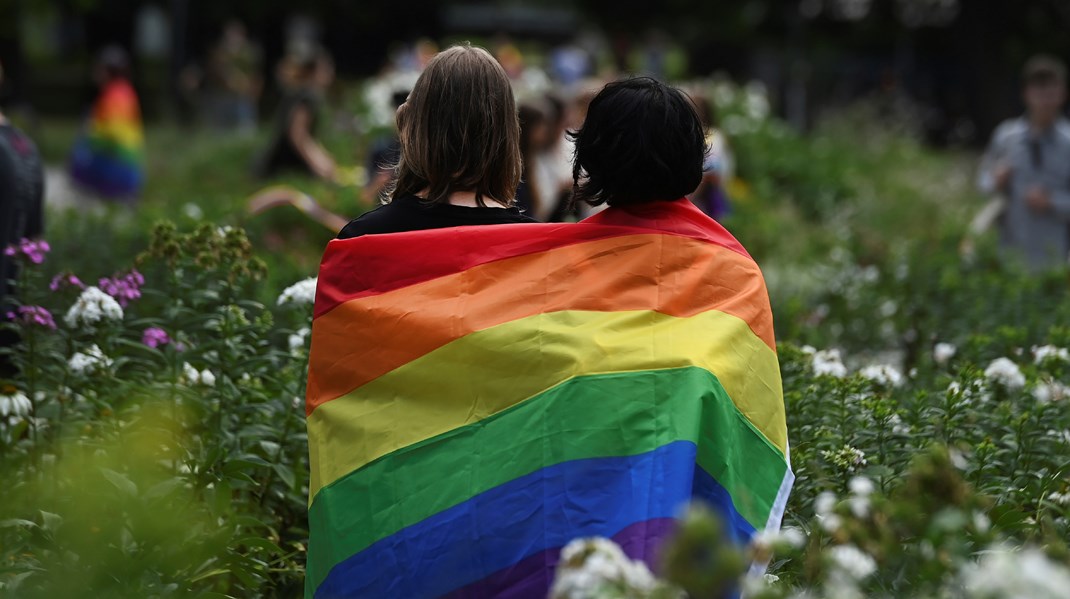 Det er svært at se, hvordan vi skal give gruppen af lgbt+børn en oplevelse af, at de til fulde er accepteret og forstået, når selv voksne mennesker, der kan finde på at være så nedladende, fordomsfulde og fordømmende, skriver Trine Bramsen.