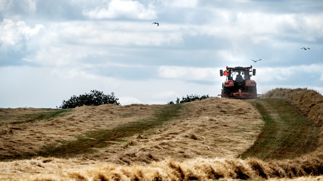 Regeringens ekspertudvalg om en grøn skattereform præsenterede onsdag sin endelige afrapportering med sine bud på en ny CO2-afgift på landbruget.