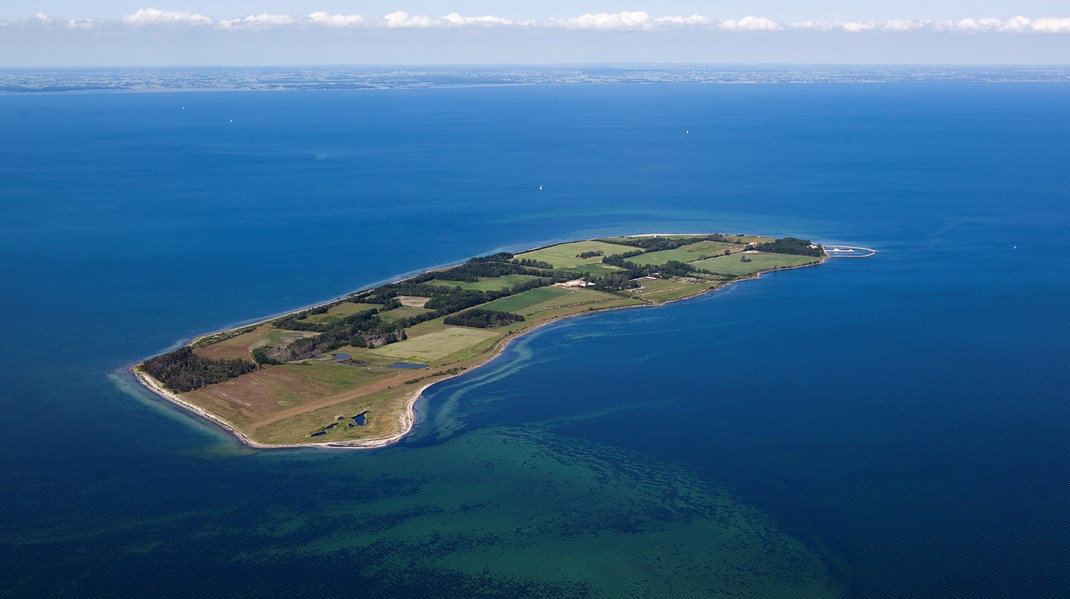 Det er en god ide at afsøge, om der kan bygges videre på de aktiviteter og den erfaring, Naturfonden har opbygget, fremfor at opbygge en ny fond fra bunden med overlappende opgaver, og med alt hvad dertil hører af organisationsudvikling, administration og vidensopbygning, skriver Den Danske Naturfond. 