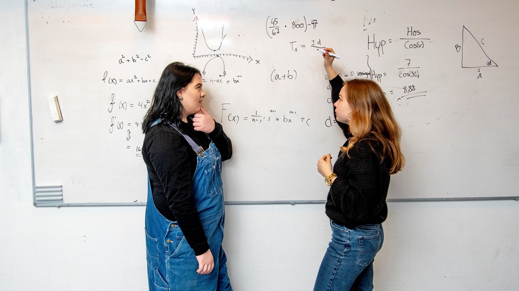 Søgningen til det tekniske gymnasium falder, og gymnasieelever fravælger de naturvidenskabelige studieretninger. Langt de fleste studenter har dog matematik på B-niveau.