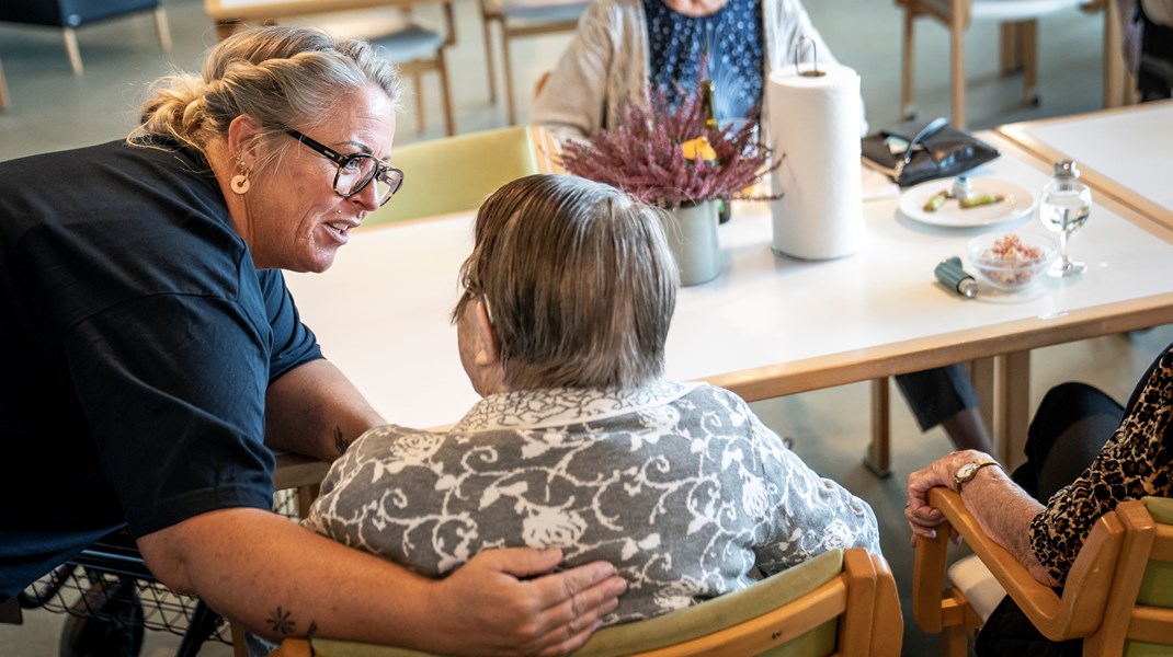 Helhedspleje i en ny ældrereform er uopnåelig uden sammenhængende sundheds- og sygepleje i et tæt samarbejde mellem forskellige faggrupper, skriver Ida Bjørn Hansen, Inge Jekes og Pia Dreyer.