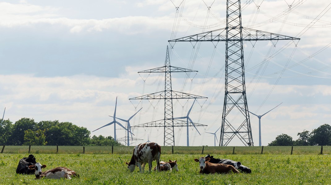 Fem europæiske miljø- og klimaorganisationer har gennemgået, hvad europaparlamentsmedlemmerne har stemt på udvalgte grønne lovforslag.