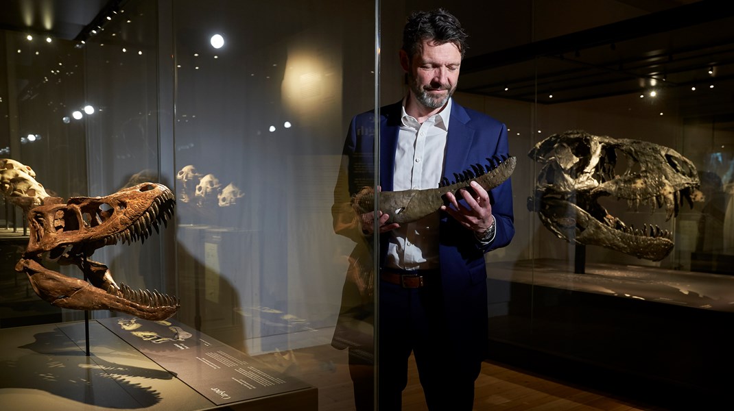 Statens Naturhistoriske Museums direktør stopper efter ni år på posten. 