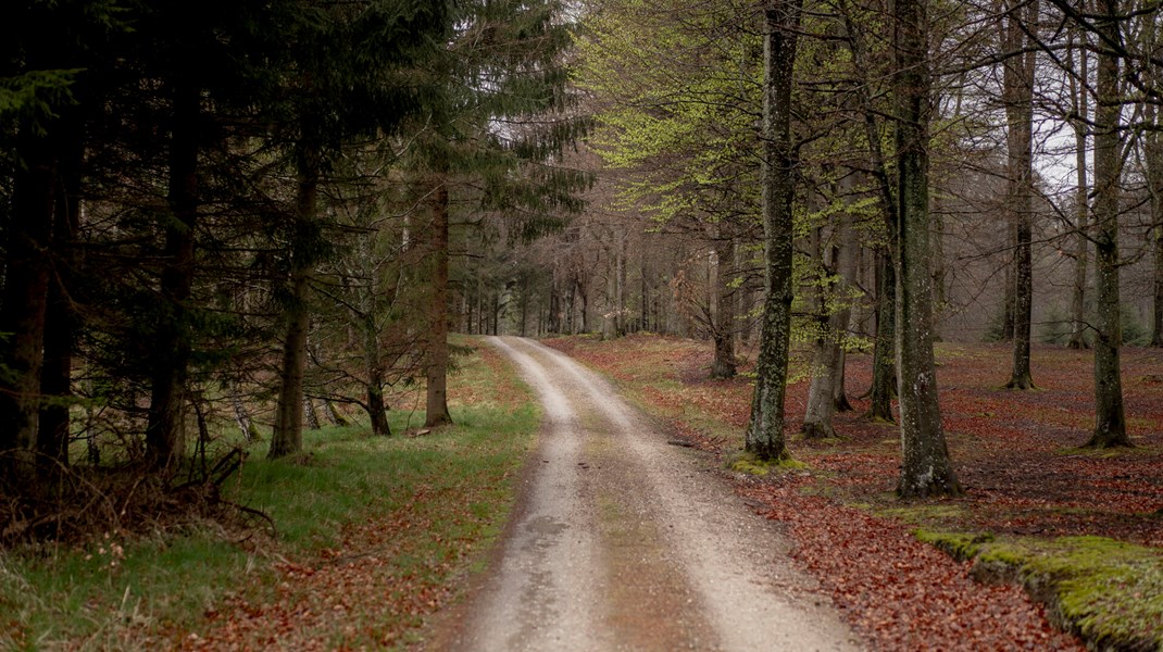 Denne nye fremskrivning bringer Danmark tættere på klimamålet for 2030.