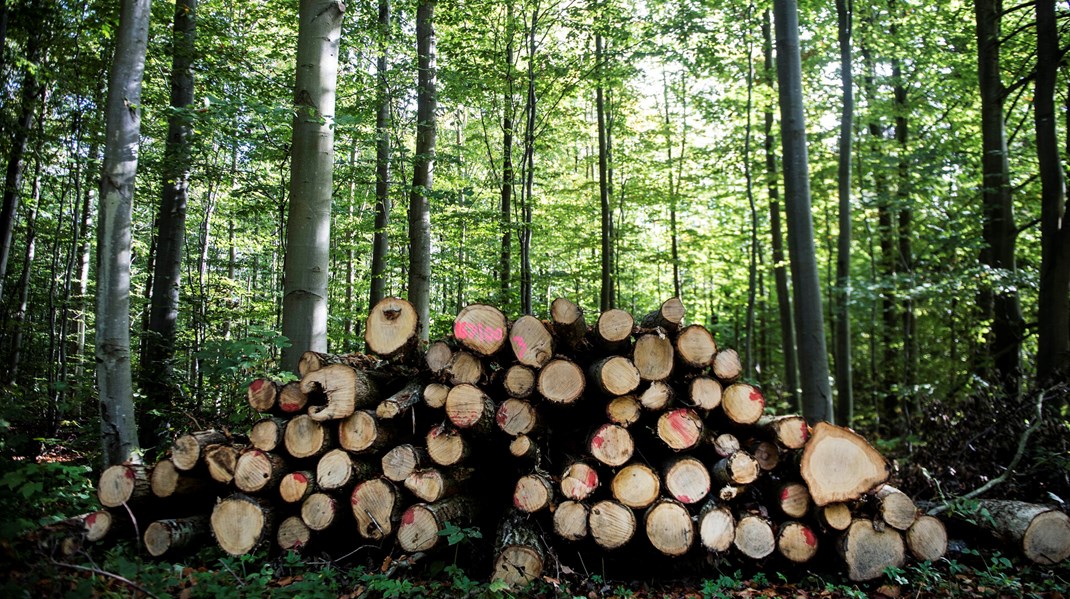 Vigtige klimadata fjernes fra eksperternes bord: Det svækker tallenes troværdighed, advarer professor