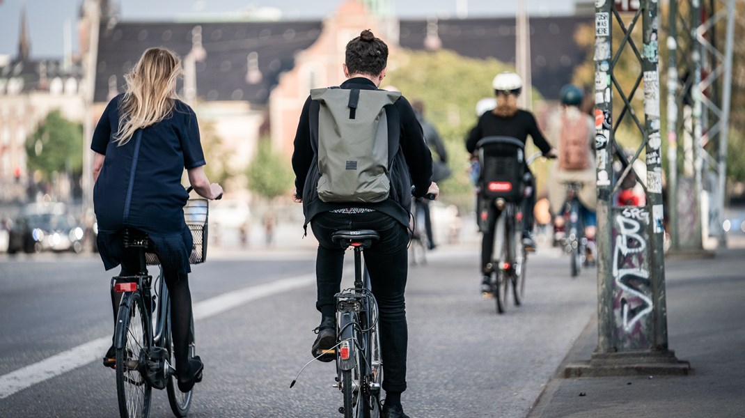 DA til FH: Stik ikke hovedet i busken og foregiv, at Arbejdstilsynet kan løse stressepidemien