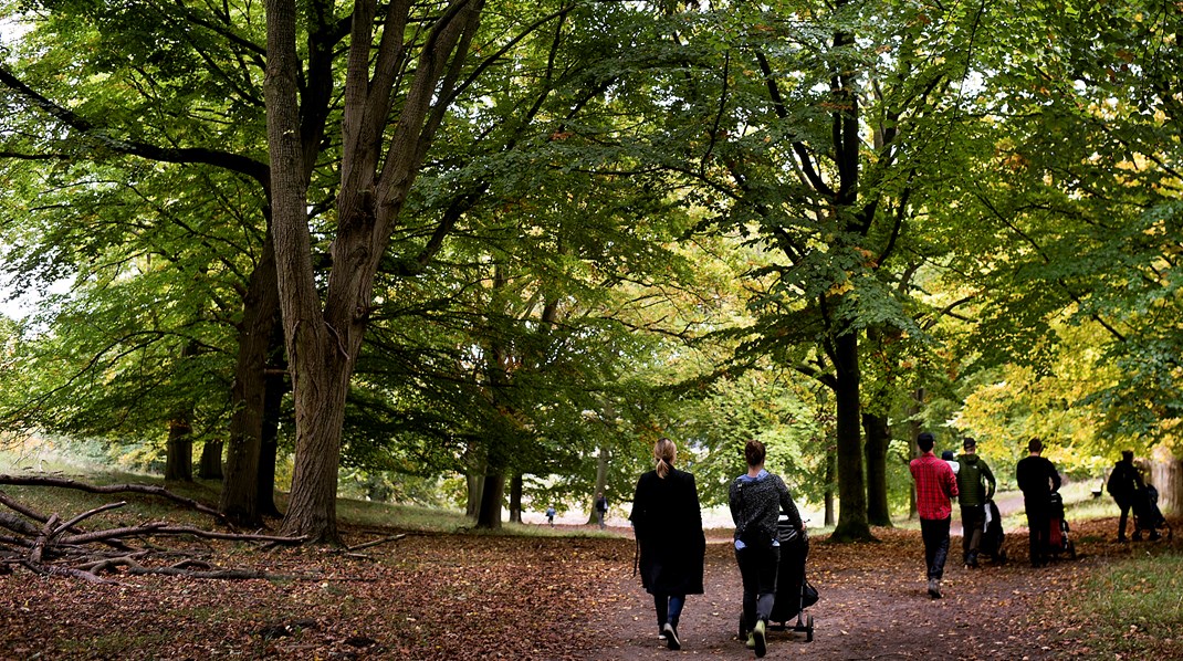 Dyrehaven nord for København besøges årligt af 7,5 millioner mennesker. Måske kunne flere af de danske byer være tjent med en grøn krans af bynære naturoplevelser, skriver Tage Duer.