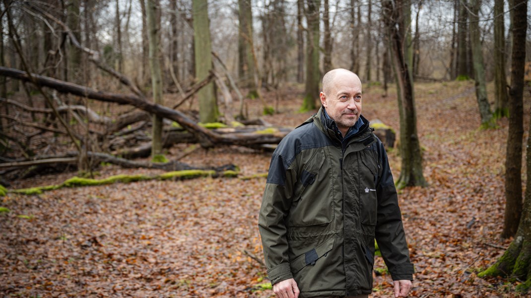 Miljøminister Magnus Heunicke var til at starte med kritisk over for EU's omfattende naturlov, der sætter bindende mål for naturgenopretning i Europa. Men som loven ser ud i dag, er han stærkt utilfreds med, at den stadig ikke er blevet vedtaget.